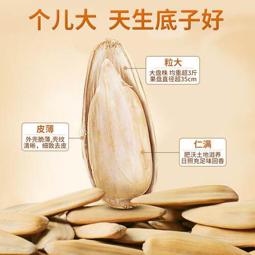 【新货特大】老街口轻盐打手瓜子500g/袋363白皮五香葵花籽零食炒