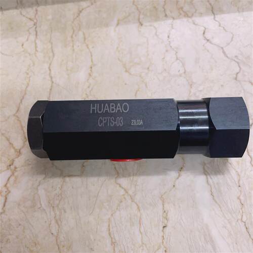新款油缸止退阀自锁 管式液控单向阀逆止阀 CPTS-03液压缸ZYT包邮