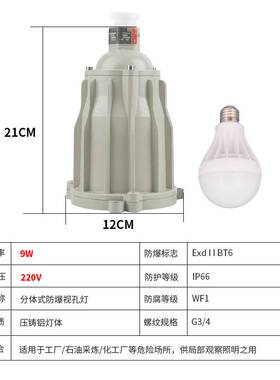 新款防爆视孔灯BSD96化学容器LED视孔灯12V24V36V220V反应釜视镜