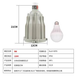 新款防爆视孔灯BSD96化学容器LED视孔灯12V24V36V220V反应釜视镜
