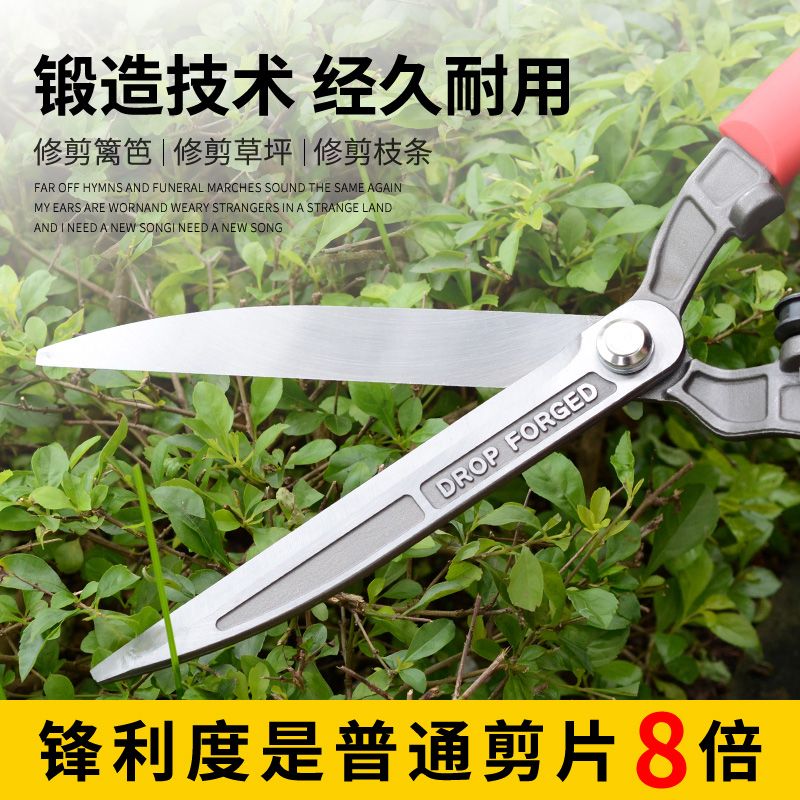 家用园林绿化花木修剪刀园艺剪刀绿篱剪大树枝修枝剪篱笆伸缩工具