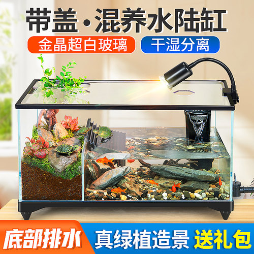 宠乐里混养鱼龟水陆缸