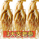 长白山整支人参送礼煲汤泡酒专用鲜参吉林园参养生东北特产特大参
