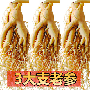 长白山整支人参送礼煲汤泡酒专用鲜参吉林园参养生东北特产特大参