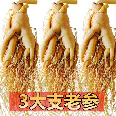 长白山整支人参吉林园参泡酒专用