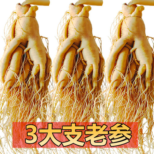 长白山整支人参吉林园参泡酒专用