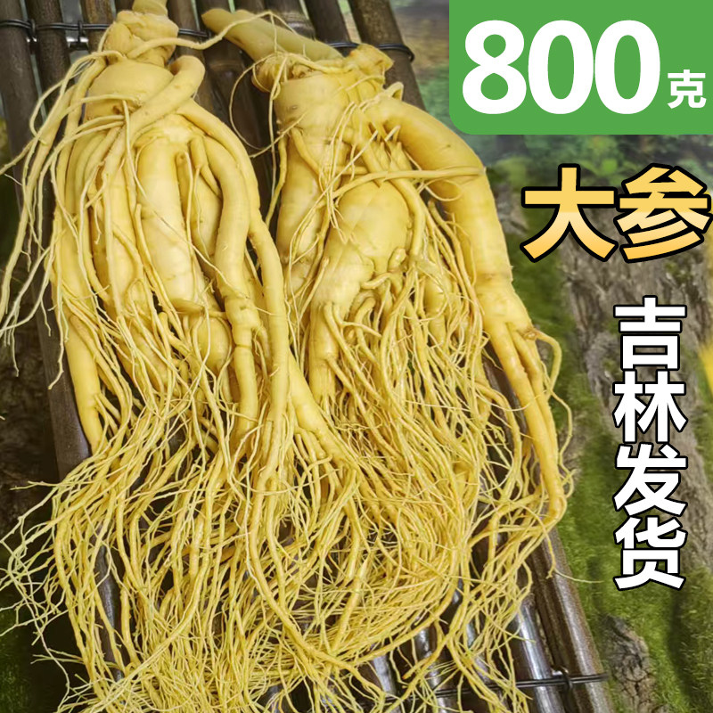 长白山整支鲜人参东北特产煲汤泡酒材料送礼吉林园参产地直发人参