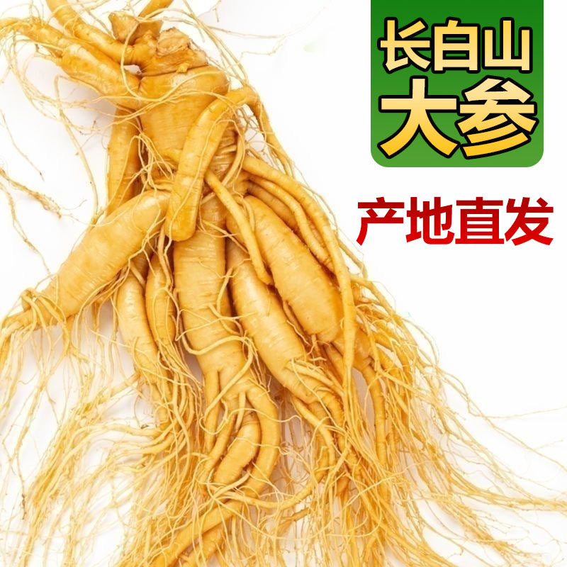 长白山正宗鲜人参煲汤泡酒专用人参东北特产800g吉林园参产地直发