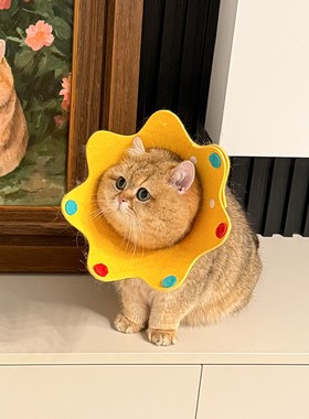 伊丽莎白圈猫咪小型犬可调节项圈防舔咬绝育耻辱圈宠物狗狗软头套