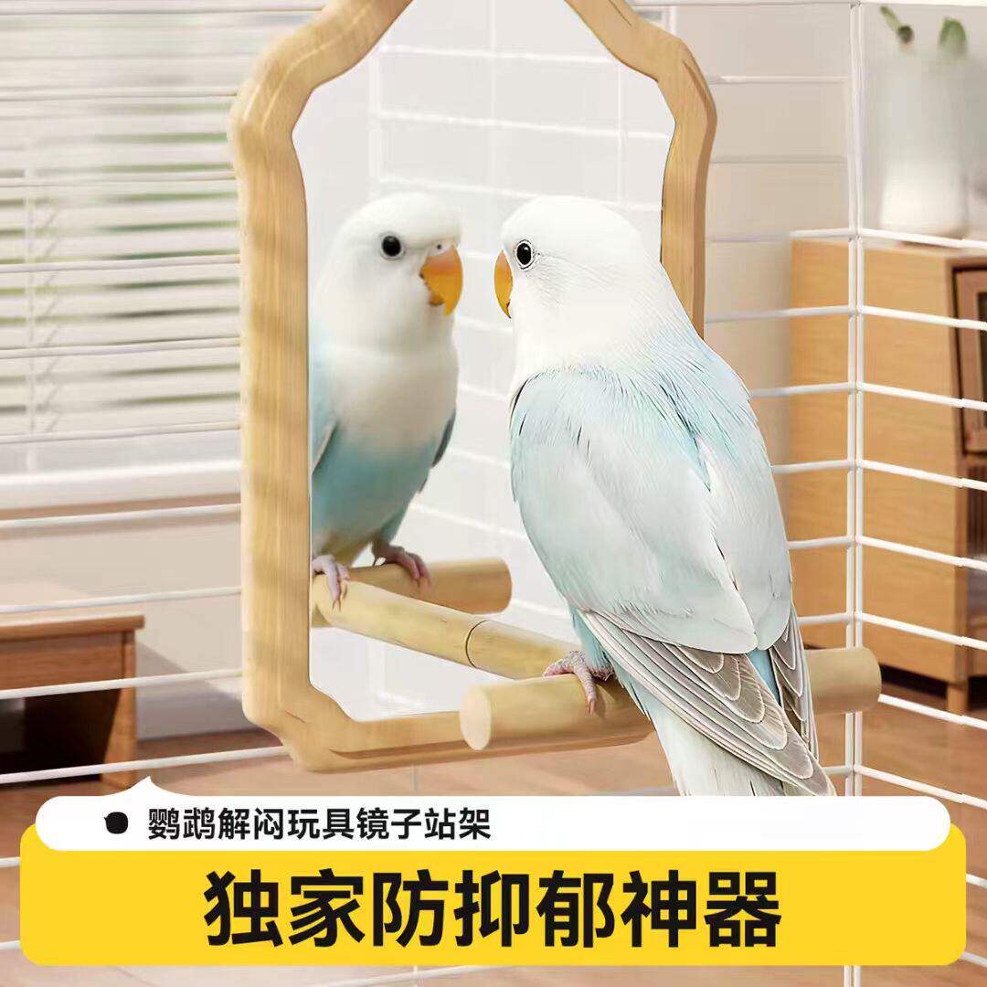 鹦鹉镜子自嗨解闷小鸟玩具原木站杆挂笼镜牡丹虎皮鸟笼装饰磨爪棒