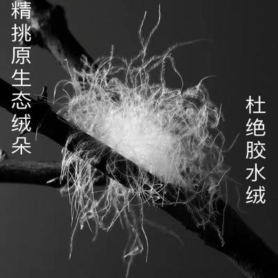 羽绒散装白鹅绒白鸭绒95大朵原料羽绒被枕羽绒服填充物98鹅绒一两