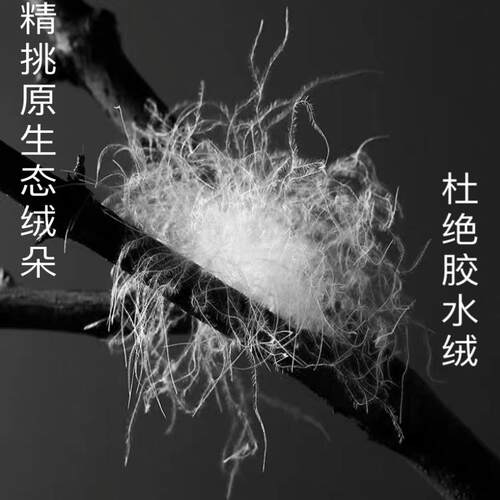 羽绒散装白鹅绒白鸭绒95大朵原料羽绒被枕羽绒服填充物98鹅绒一两