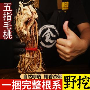 河源野生五指毛桃根广东源汤汤牛奶根中药材五爪龙土茯苓薏米