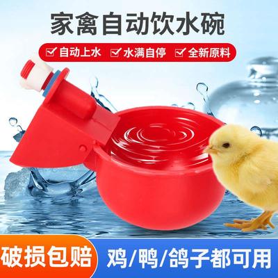 养鸡用自动饮水器鸭鹅鸽子饮水碗喝水碗鹌鹑家禽饮水器雏鸡喂水器