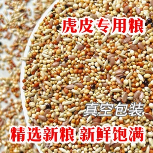 虎皮鹦鹉饲料黄谷子鹦鹉粮食带壳小米鹦鹉鸟粮专用混合型营养鸟粮