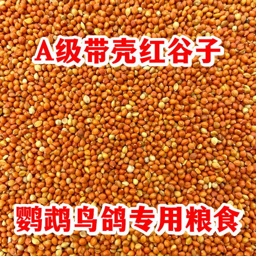 新红谷子带壳鸟食饲料