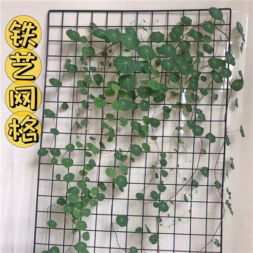 山乌龟白色爬藤架铁艺网格北欧风爬藤网室内软装藤蔓植物爬墙网子