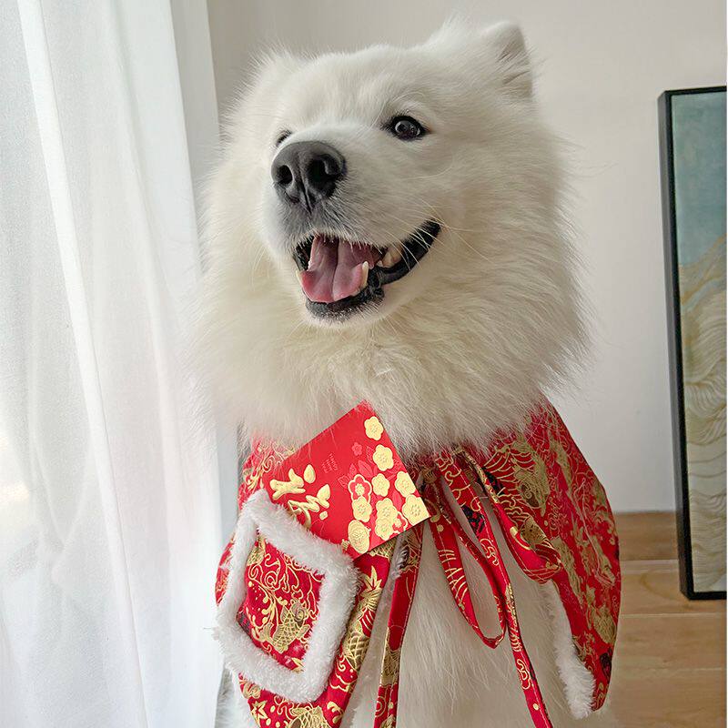 耶耶的拜年服狗狗过年围