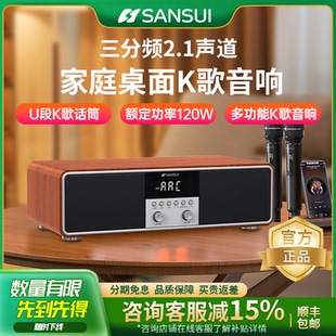 桌面k歌一体机卡拉ok唱歌机家用音箱电视 山水T73家庭ktv音响套装