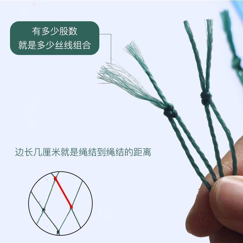 家禽养殖网渔网养鸡防飞网防鸟拦鸡搭顶网围栏防鸟网养殖天网加粗