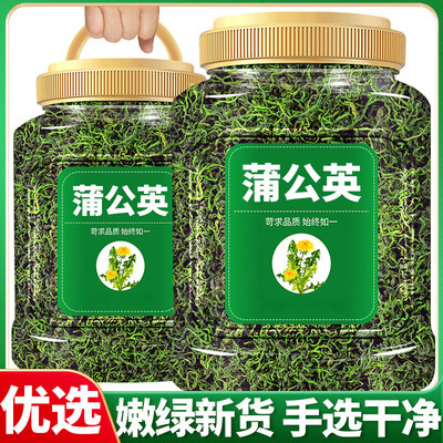 蒲公英正品特级野生中药材新鲜散结茶官方旗舰店去火茶蒲公英叶根