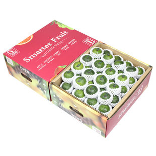 广西清香橘4/8斤青皮桔融安青橘子小桔子孕妇辅食新鲜应季水果