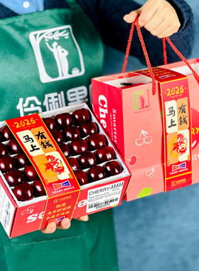 现货礼盒装2\5斤5J超大果智利进口Santina车厘子新鲜水果樱桃送礼