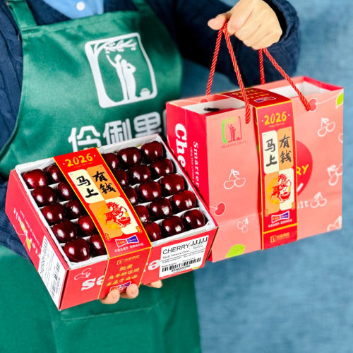 现货礼盒装2\5斤5J超大果智利进口Santina车厘子新鲜水果樱桃送礼