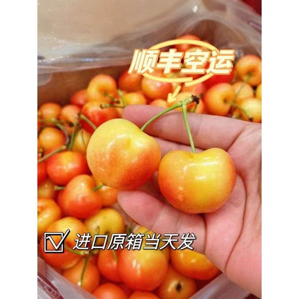 4JJJJ智利进口黄金车厘子新鲜水果孕妇雷尼尔黄樱桃2斤礼盒顺丰,水产肉类/新鲜蔬果/熟食,车厘子/樱桃,淘宝优惠券,粉丝福利购,淘宝优惠卷