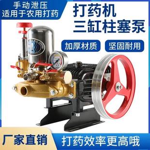 农用高压打药机三缸柱塞泵供水灌溉直连泵喷雾器果园喷洒小型家用