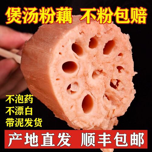 洪湖颜姐粉藕2斤3斤/5斤细长品种现挖现发煲汤粉糯