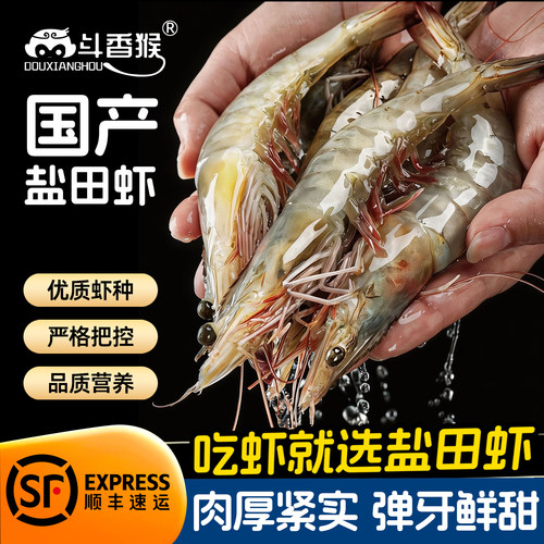 斗香猴盐田虾无公害速冻