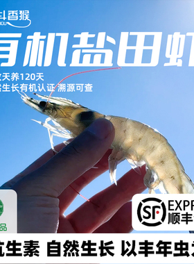 渤海湾生态有机无污染盐田大虾活冻锁鲜特速冻青虾对虾海虾气冻虾