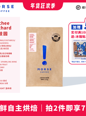 荔枝园【新品】 MORSE莫思拼配意式/冷萃浓郁果香果酸咖啡豆250克