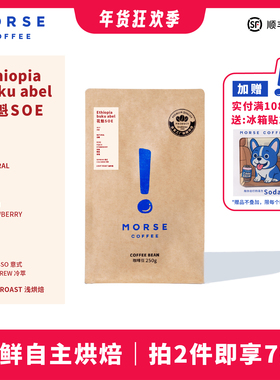 花魁SOE【新品】 MORSE莫思 埃塞古吉单品果香果酸咖啡豆250g