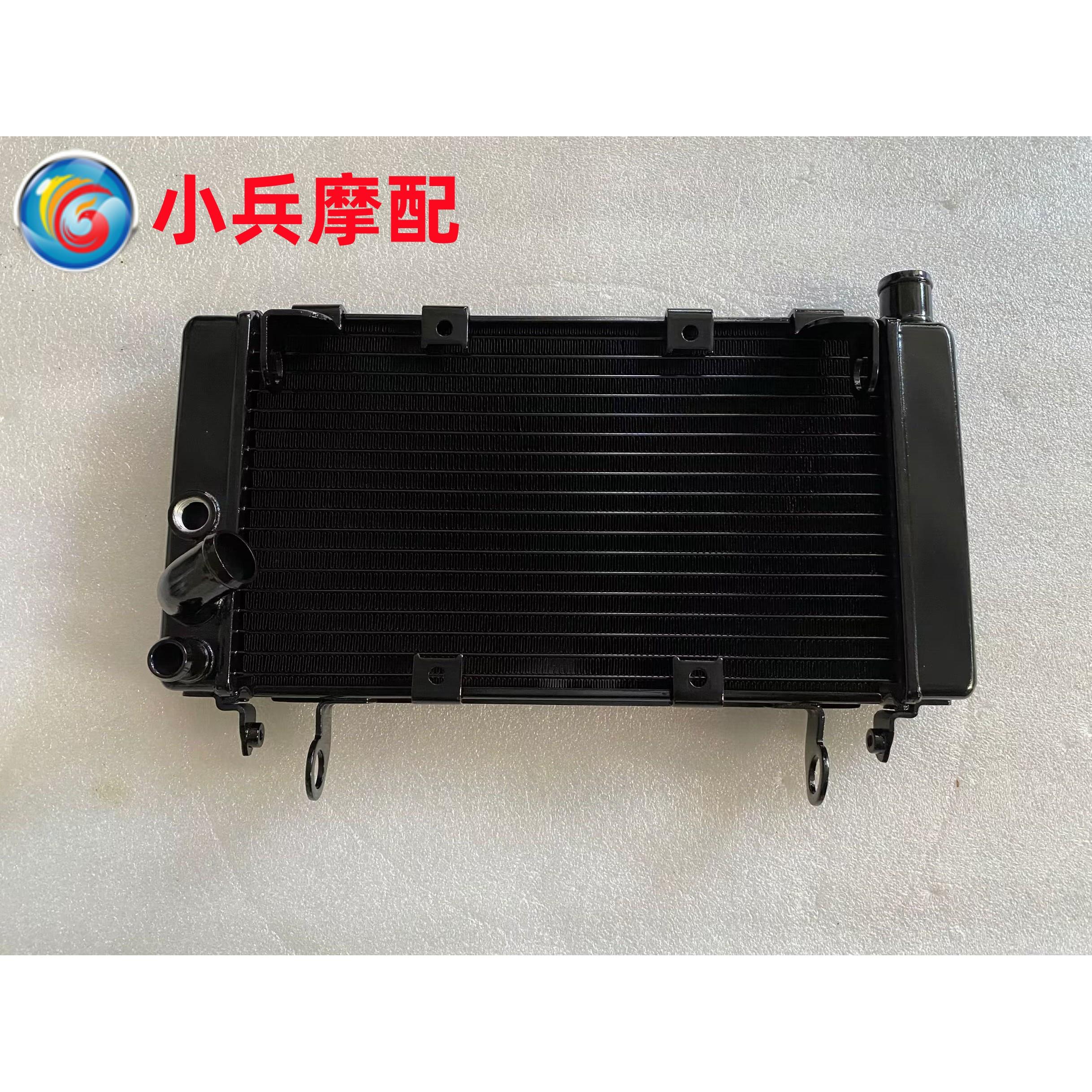适用钱江贝纳利黄龙600水箱BJ600GS BN600i水箱风扇散热器