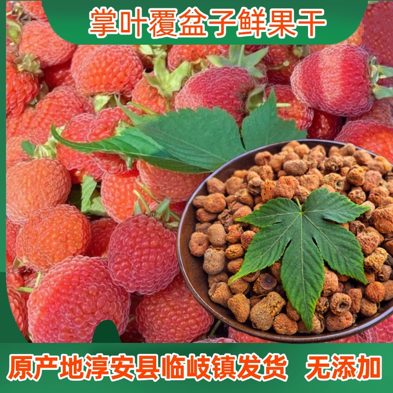 掌叶覆盆子鲜果干红果晒干野生无硫滋补泡酒泡茶浙江淳安临岐发货