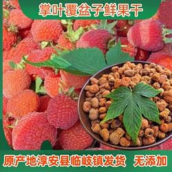掌叶覆盆子鲜果干红果晒干野生无硫滋补泡酒泡茶浙江淳安临岐发货