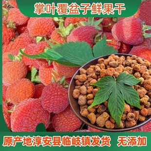 掌叶覆盆子鲜果干红果晒干野生无硫滋补泡酒泡茶浙江淳安临岐发货