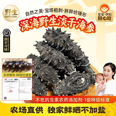 深海纯野生孕妇级一级国标纯淡干长岛辽参刺参大白刺海参便携装