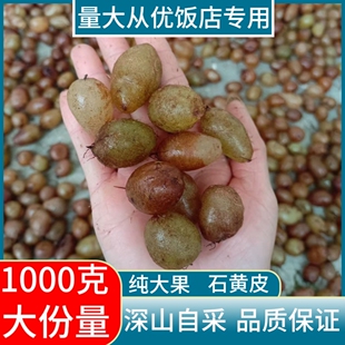 野生石黄皮马骝卵新鲜现摘圆羊齿凤凰蛋肾蕨化狗儿蜈蚣草500g大果
