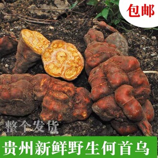贵州野生何首乌农家自采新鲜生首乌护发煲汤泡酒泡茶500g包邮整颗