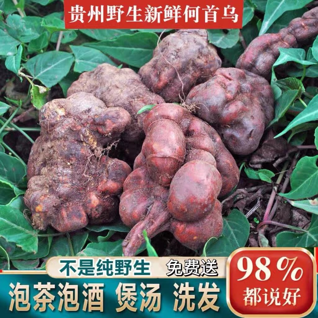 现采野生新鲜何首乌中药材正品500g大片生何乌片护发养发泡酒整颗