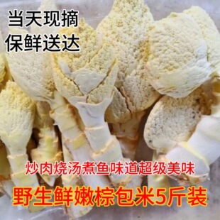 江西赣州于都新鲜野生棕包正宗包米棕贝棕笋花苞棕棕榈树特产炒肉
