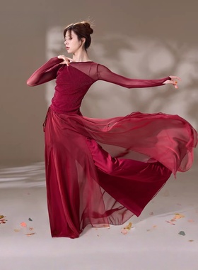古典舞蹈服飘逸纱衣女红色中国风练功艺考舞蹈国风双层裤裙表演服