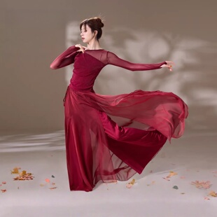 古典舞蹈服飘逸纱衣女红色中国风练功艺考舞蹈国风双层裤裙表演服