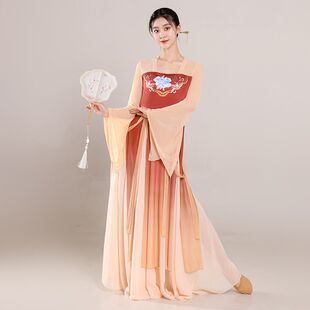 新款古典舞蹈服女仙气身韵古风飘逸纱衣演出服成人练功汉唐服装