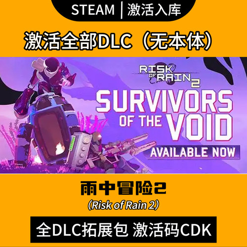 steam雨中冒险2合金意志dlc