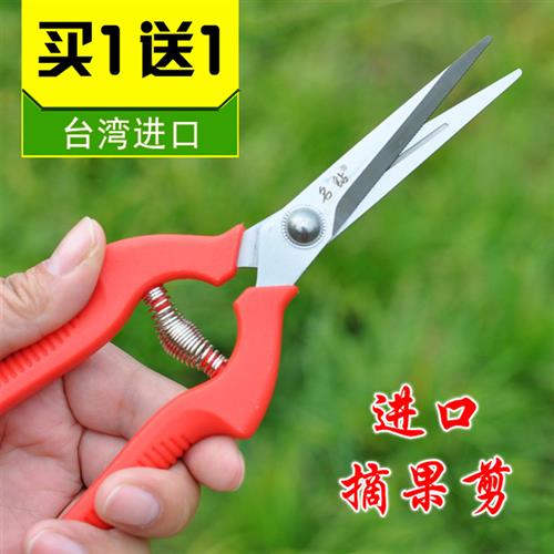 进口葡萄剪刀疏花疏果剪摘果剪修枝园艺园林花枝剪花艺修花稀果剪