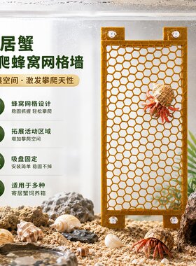 寄居蟹攀爬玩具爬行动物栖息地装饰运动游乐场寄居蟹配件用于爬宠